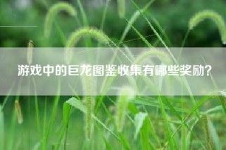游戏中的巨龙图鉴收集有哪些奖励？