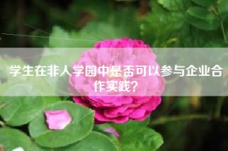 学生在非人学园中是否可以参与企业合作实践？