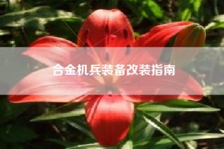 合金机兵装备改装指南