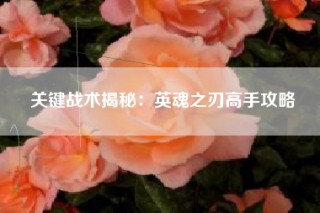 关键战术揭秘：英魂之刃高手攻略