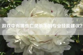 游戏中有哪些亡灵杀手的专业技能建议？