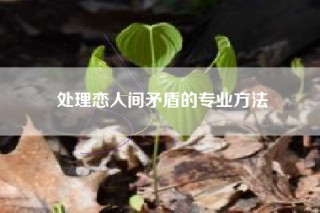 处理恋人间矛盾的专业方法