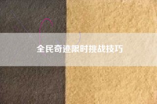 全民奇迹限时挑战技巧