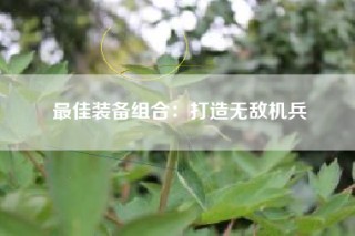最佳装备组合：打造无敌机兵