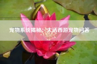 宠物系统揭秘：大话西游宠物问答