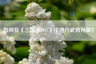 如何在《三国志2017》中进行武将升级？