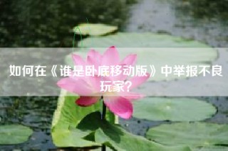 如何在《谁是卧底移动版》中举报不良玩家？