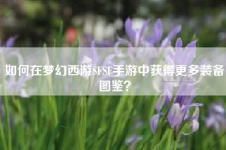 如何在梦幻西游SFSF手游中获得更多装备图鉴？