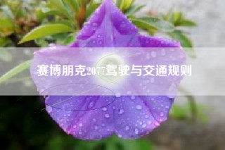 赛博朋克2077驾驶与交通规则