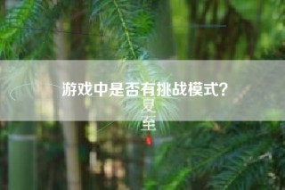 游戏中是否有挑战模式？