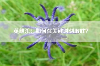 英雄杀：如何在关键时刻取胜？