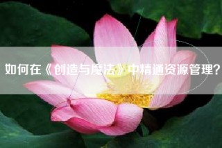 如何在《创造与魔法》中精通资源管理？