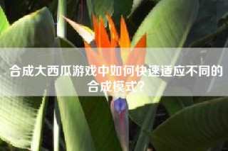 合成大西瓜游戏中如何快速适应不同的合成模式？