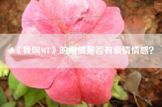《我叫MT》的剧情是否有爱情情感？