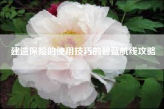 建造保险的使用技巧的碧蓝航线攻略