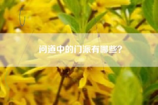 问道中的门派有哪些？