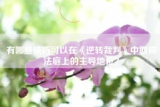 有哪些技巧可以在《逆转裁判》中取得法庭上的主导地位？