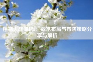 植物大战僵尸2：战术布局与布防策略分享与解析