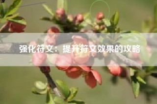 强化符文：提升符文效果的攻略