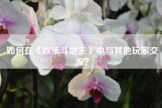 如何在《欢乐斗地主》中与其他玩家交流？