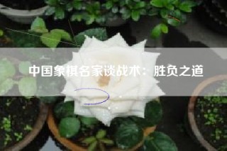 中国象棋名家谈战术：胜负之道