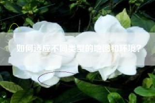 如何适应不同类型的地图和环境？