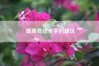 提高竞技水平的建议