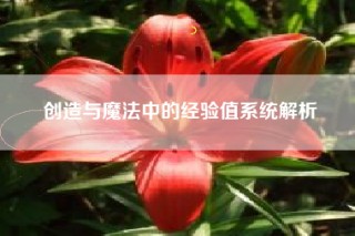 创造与魔法中的经验值系统解析