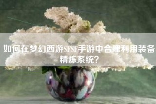 如何在梦幻西游SFSF手游中合理利用装备精炼系统？