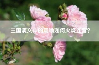 三国演义中的周瑜如何火烧连营？