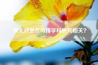 极无双是否与跨学科研究相关？