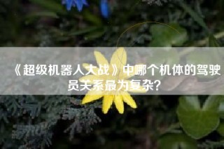 《超级机器人大战》中哪个机体的驾驶员关系最为复杂？
