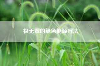 极无双的绿色能源方法