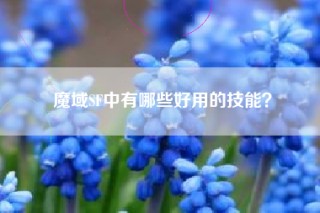 魔域SF中有哪些好用的技能？