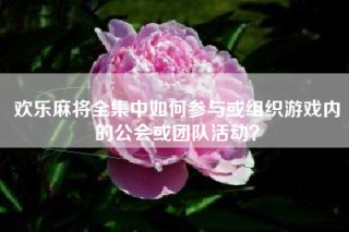 欢乐麻将全集中如何参与或组织游戏内的公会或团队活动？