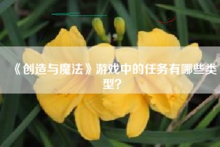 《创造与魔法》游戏中的任务有哪些类型？