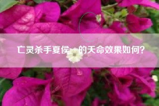 亡灵杀手夏侯惇的天命效果如何？