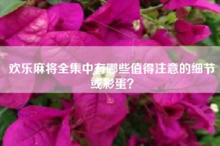 欢乐麻将全集中有哪些值得注意的细节或彩蛋？