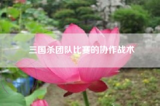 三国杀团队比赛的协作战术