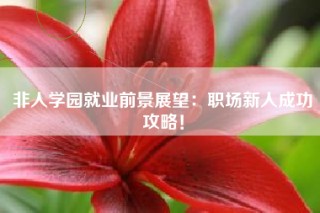 非人学园就业前景展望：职场新人成功攻略！