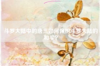 斗罗大陆中的唐三如何保护斗罗大陆的和平？