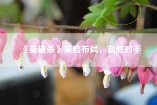 《英雄杀》策略布局，制胜对手