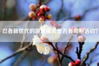 忍者新世代的游戏模式是否有周期活动？