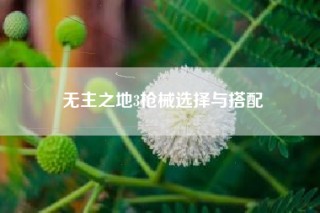 无主之地3枪械选择与搭配
