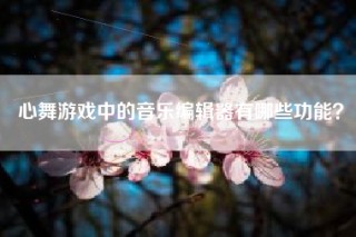 心舞游戏中的音乐编辑器有哪些功能？