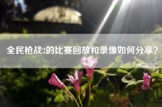 全民枪战2的比赛回放和录像如何分享？