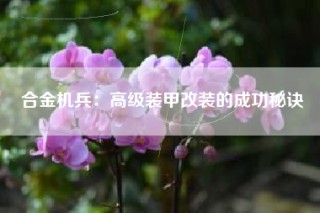 合金机兵：高级装甲改装的成功秘诀