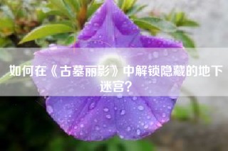 如何在《古墓丽影》中解锁隐藏的地下迷宫？