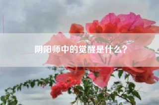 阴阳师中的觉醒是什么？