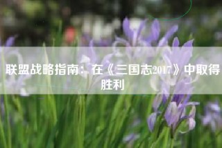 联盟战略指南：在《三国志2017》中取得胜利